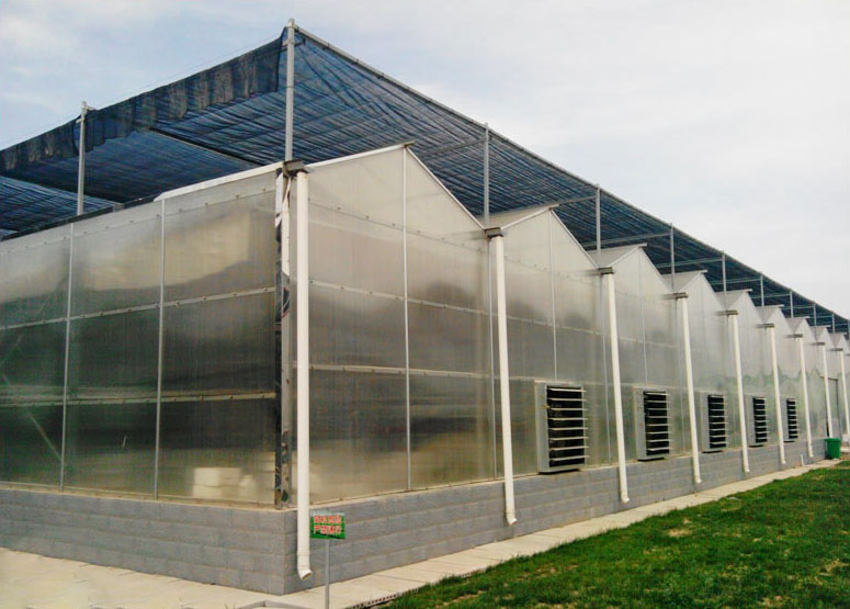  陽光板溫室工程